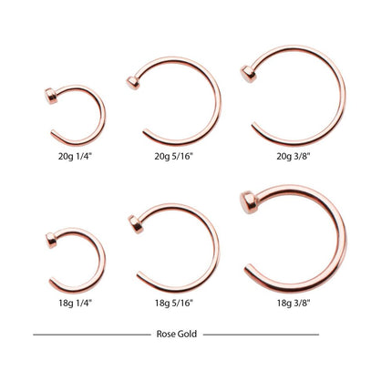 Invictus 14kt Gold with 2mm Flat Back Nose Ring