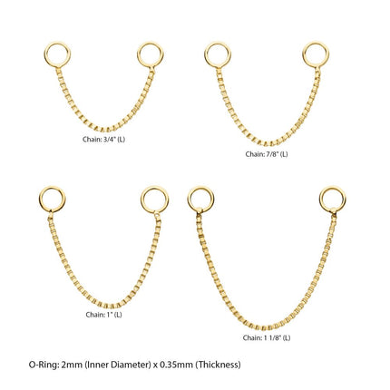 Invictus 14Kt Yellow Gold Box Chain with Rings