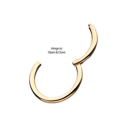 Invictus 14Kt Yellow Gold Basic Hinged Segment Clicker