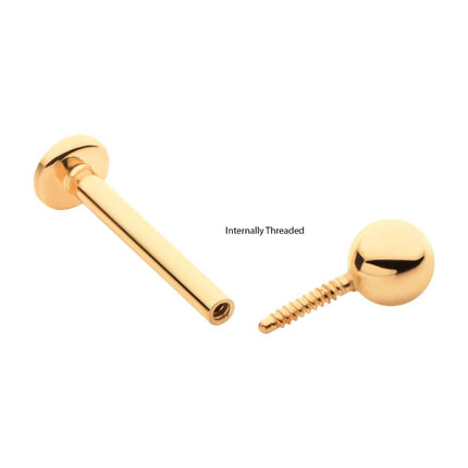 Invictus 14Kt Yellow Gold Internally Threaded with Ball Top & 3mm Base Labret