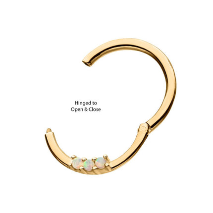Invictus 14Kt Yellow Gold with Prong Set Clear CZ/White Synthetic Opal 3-Cluster Front Facing Hinged Segment Clicker