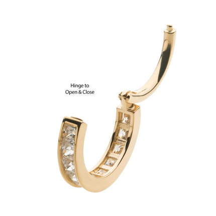Invictus 14Kt Yellow Gold with Princess Gem Side Facing Hinged Segment Clicker