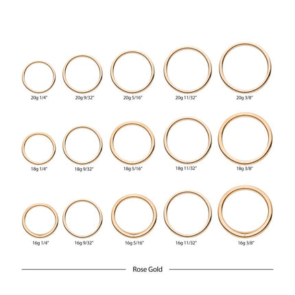 Invictus 14kt Gold Seamless Ring