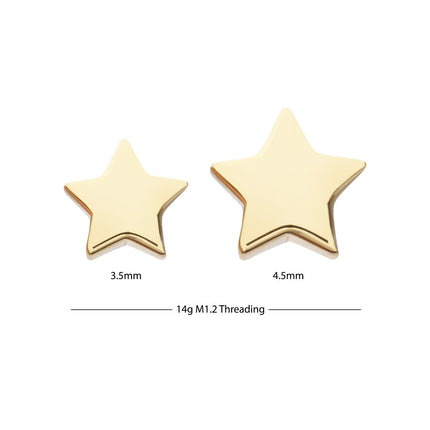 Invictus 14Kt Yellow Gold Internally Threaded Star Top Dermal