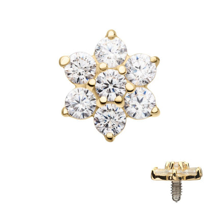 Invictus 14Kt Yellow Gold Internally Threaded Prong Set 7-Gem Flower Top Dermal