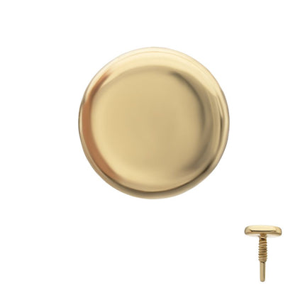 Invictus 14Kt Yellow Gold M0.8 Internally Threaded Disc Top