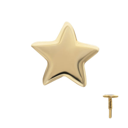 Invictus 14Kt Yellow Gold M0.8 Internally Threaded Star Top