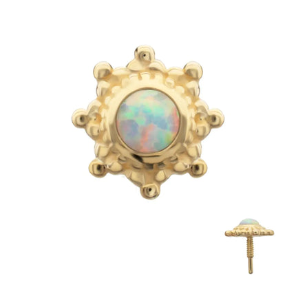 Invictus 14Kt Yellow Gold M0.8 Internally Threaded Beaded Flower Opal Top