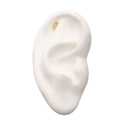 Invictus 14Kt Gold Threadless with Aria Leaf Top