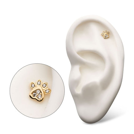 Invictus 14Kt Yellow Gold Threadless with Dog Paw Clear CZ Top