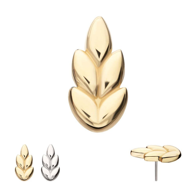 Invictus 14Kt Gold Threadless Ash Leaf Top