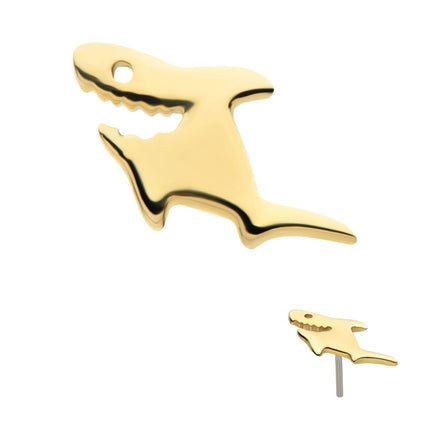 Invictus 14Kt Yellow Gold Threadless Shark Top