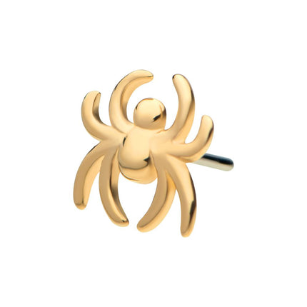 Invictus 14Kt Gold Threadless with Spider Top