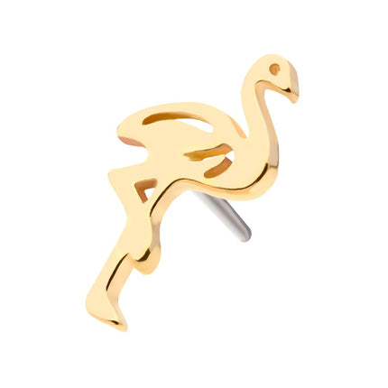 Invictus 14Kt Yellow Gold Threadless with Flamingo Top