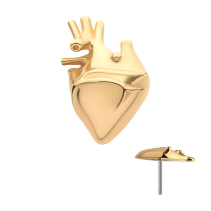 Invictus 14Kt Yellow Gold Threadless with Human Heart Top