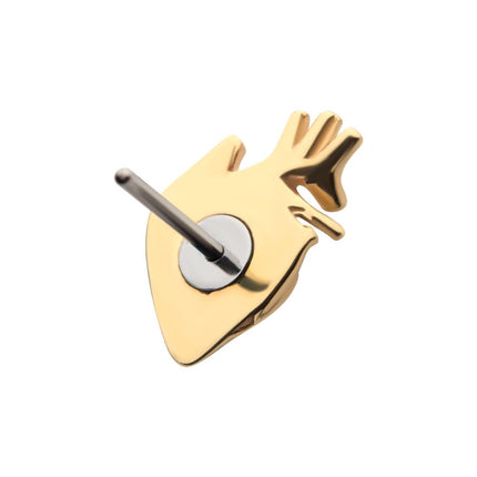 Invictus 14Kt Yellow Gold Threadless with Human Heart Top