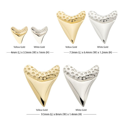 Invictus 14Kt Gold Threadless Megalodon Shark Tooth Top
