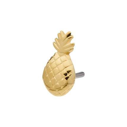 Invictus 14Kt Yellow Gold Threadless with Pineapple Top