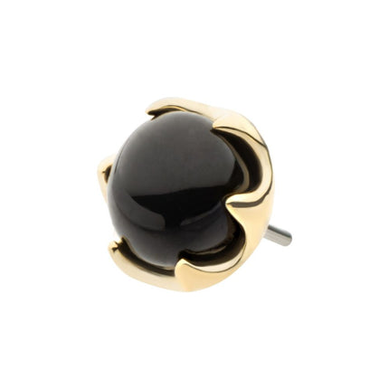 Invictus 14Kt Gold Threadless 6 Prong Black Onyx Top