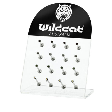 Empty 16pc Clear Labret Stand