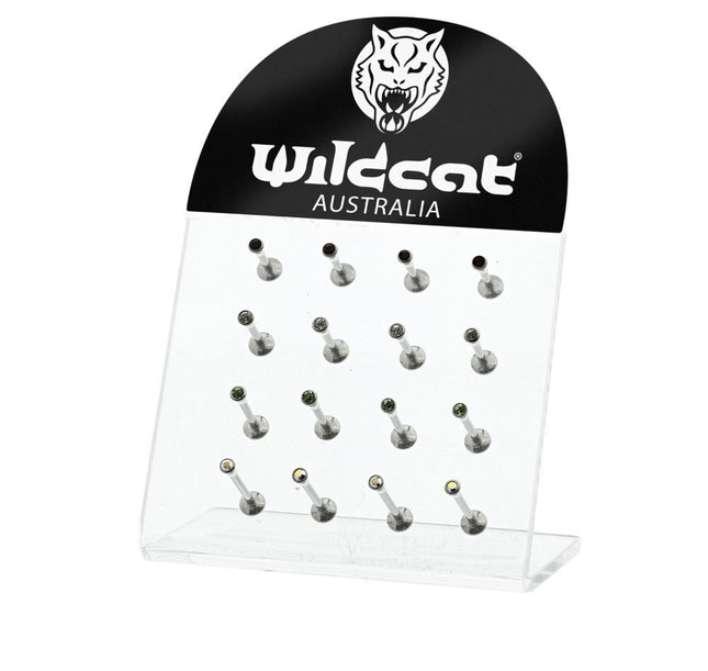 Empty 16pc Clear Labret Stand