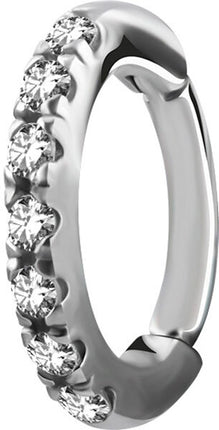 Surgical Steel Oval Jewelled Hinged Rook Ring