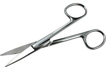 Pointed Scissors