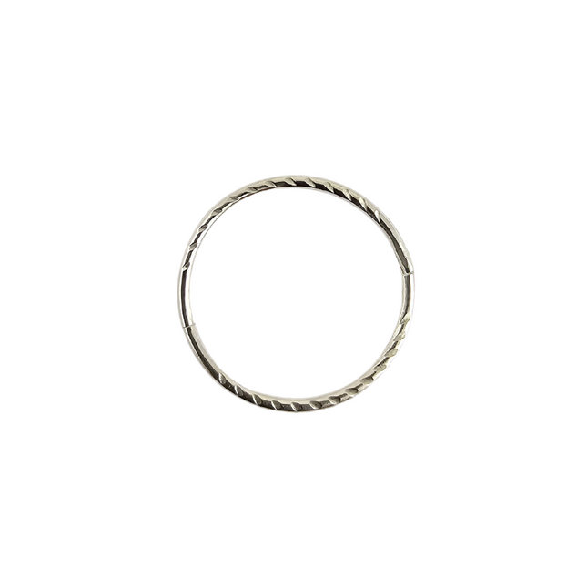 Sterling Silver Twisted Sleepers
