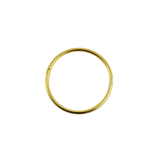 Elstern Gold Plated Hinged Sleepers