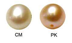 Clip In Freshwater Pearls