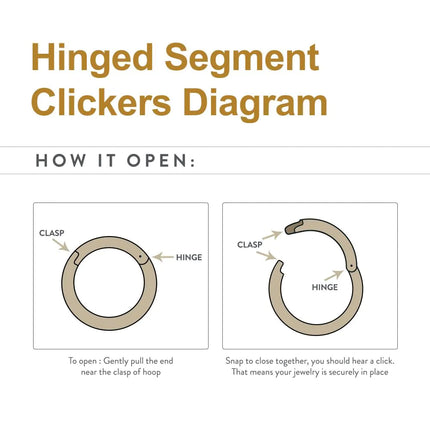 24KT Gold PVD Titanium Hinged Segment Clicker (20g to 14g)
