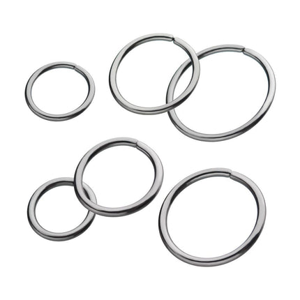 Invictus Niobium Seamless Split Ring