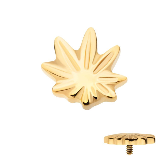Invictus 24Kt Gold PVD Titanium Internally Threaded Pot Leaf Top