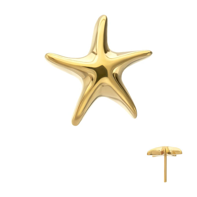 Invictus 24Kt Gold PVD Titanium Threadless Low Profile 3D Starfish Top