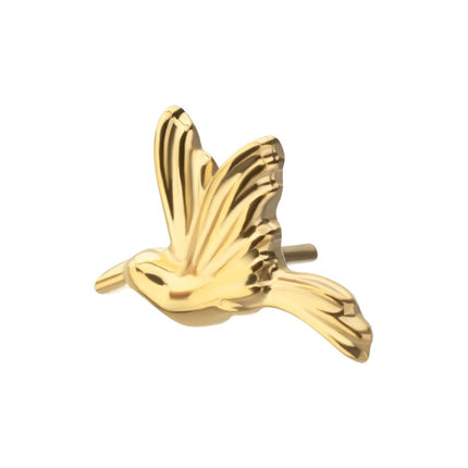 Invictus 24Kt Gold PVD Titanium Threadless Low Profile 3D Hummingbird Top
