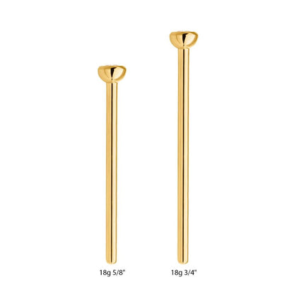 Invictus 24Kt Gold PVD Titanium Bezel Set CZ Nose Pin