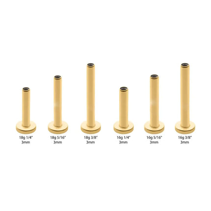 Invictus 24KT Gold PVD Titanium Internally Threaded Micro Labret Pin with 3mm Base