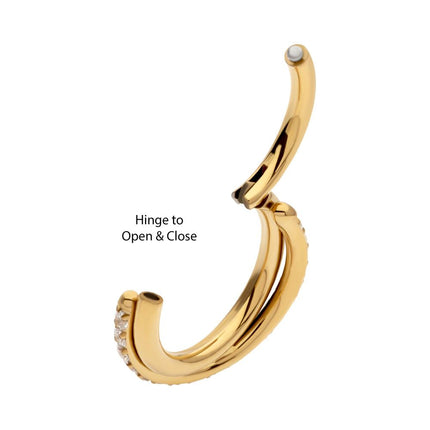 Invictus 24Kt Gold PVD Titanium Double Hoop Side Facing Hinged Segment Clicker with CNC Set Round CZ