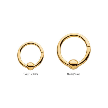 Invictus 24KT Gold PVD Titanium Ball Hinged Segment Ring