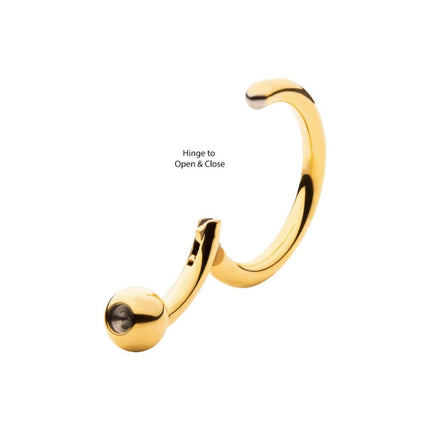 Invictus 24KT Gold PVD Titanium Ball Hinged Segment Ring