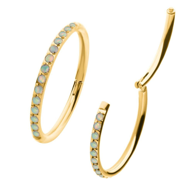 Invictus 24KT Gold PVD Titanium CNC Set White Opal Eternity Side Facing Hinged Segment Clicker