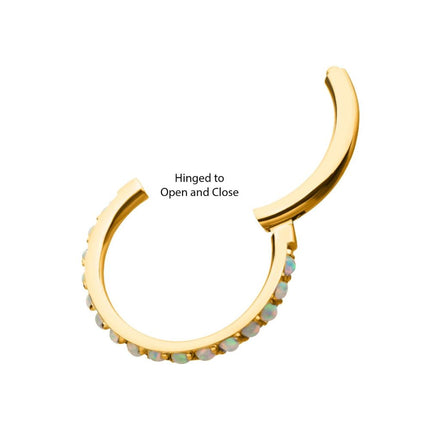 Invictus 24KT Gold PVD Titanium CNC Set White Opal Eternity Side Facing Hinged Segment Clicker
