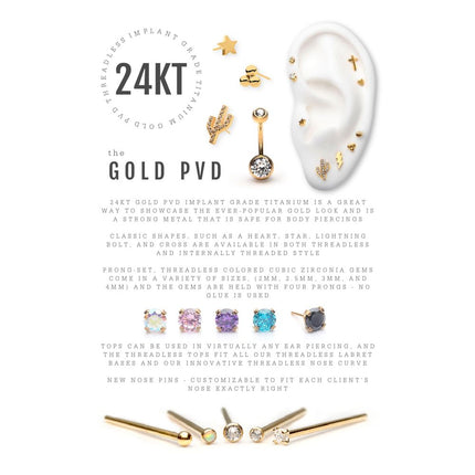 Invictus 24KT Gold PVD Titanium Threadless with Prong Set CZ Cactus Top