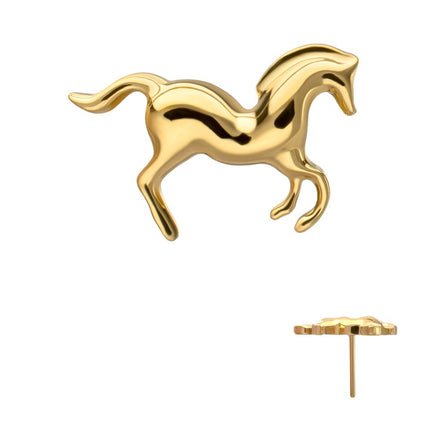 Invictus 24Kt Gold PVD Titanium Threadless Horse Top