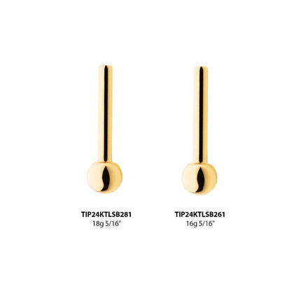 Invictus 24KT Gold PVD Titanium Threadless Barbell with Single Attached Ball