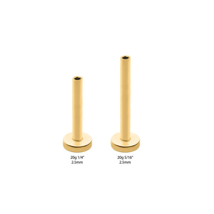 Invictus 24KT Gold PVD Titanium Threadless Labret with 2.5mm Base