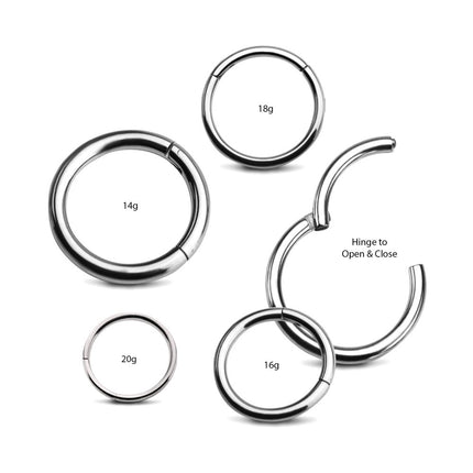 Invictus Titanium Hinged Segment Ring