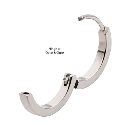 Invictus 20g Titanium Clear CZ Hinged Huggie Earrings