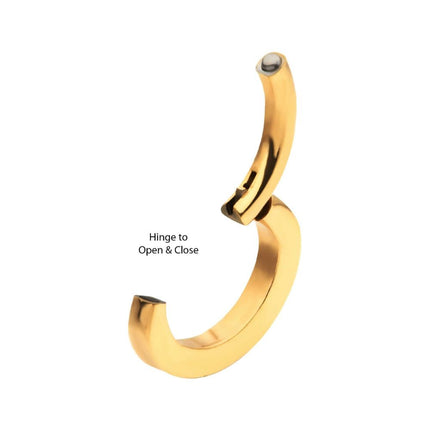 Invictus 16g 24Kt Gold PVD Titanium Oval Shape Hinged Segment Clicker (for Rook Piercing)