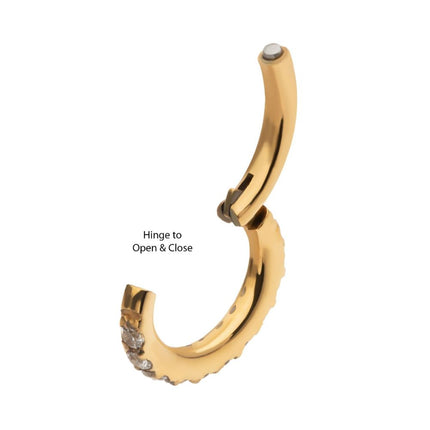 Invictus 16g 24Kt Gold PVD Titanium Oval Shape with CNC Set Full Clear CZ Hinged Segment Clicker (for Rook Piercing)